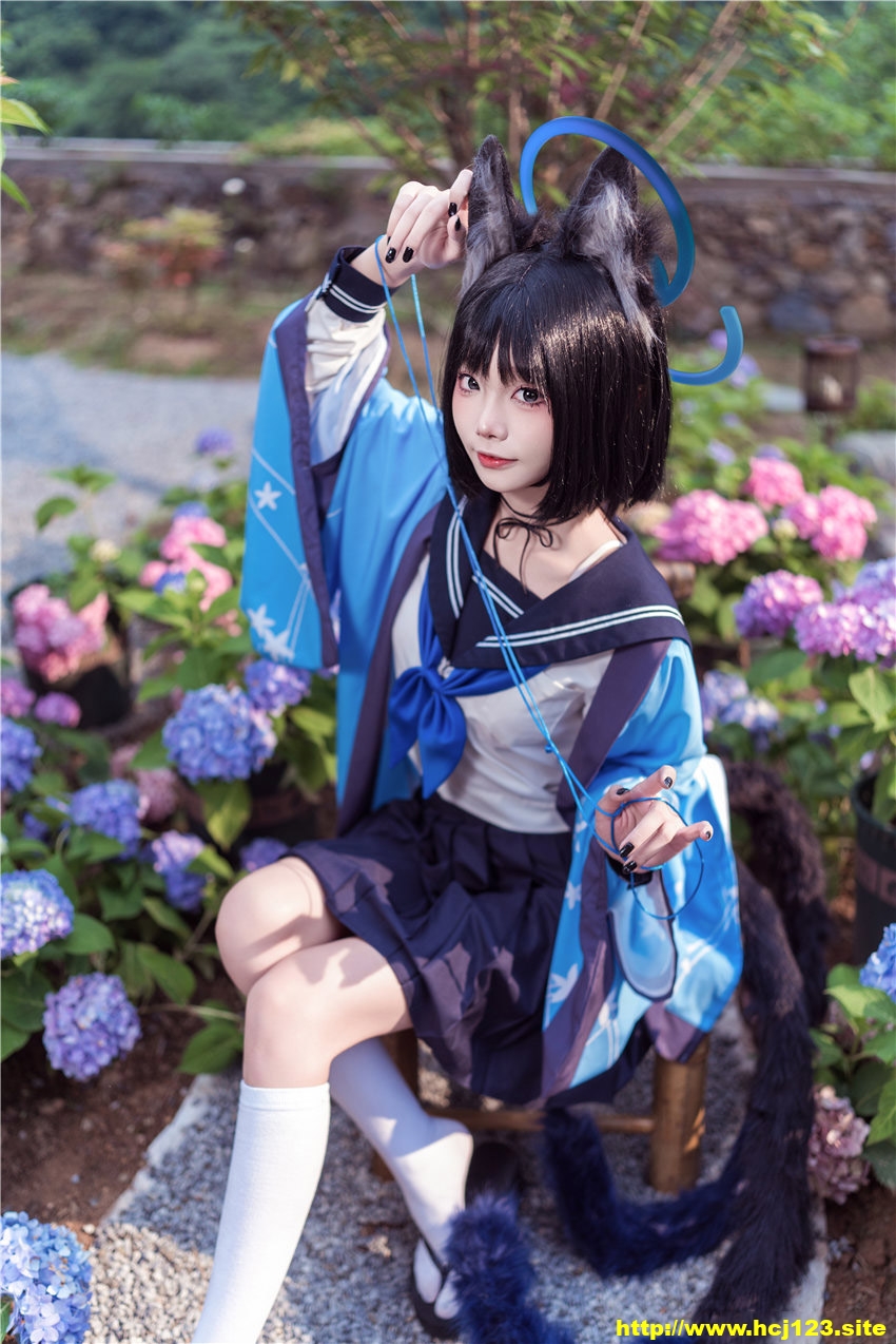 V3-1