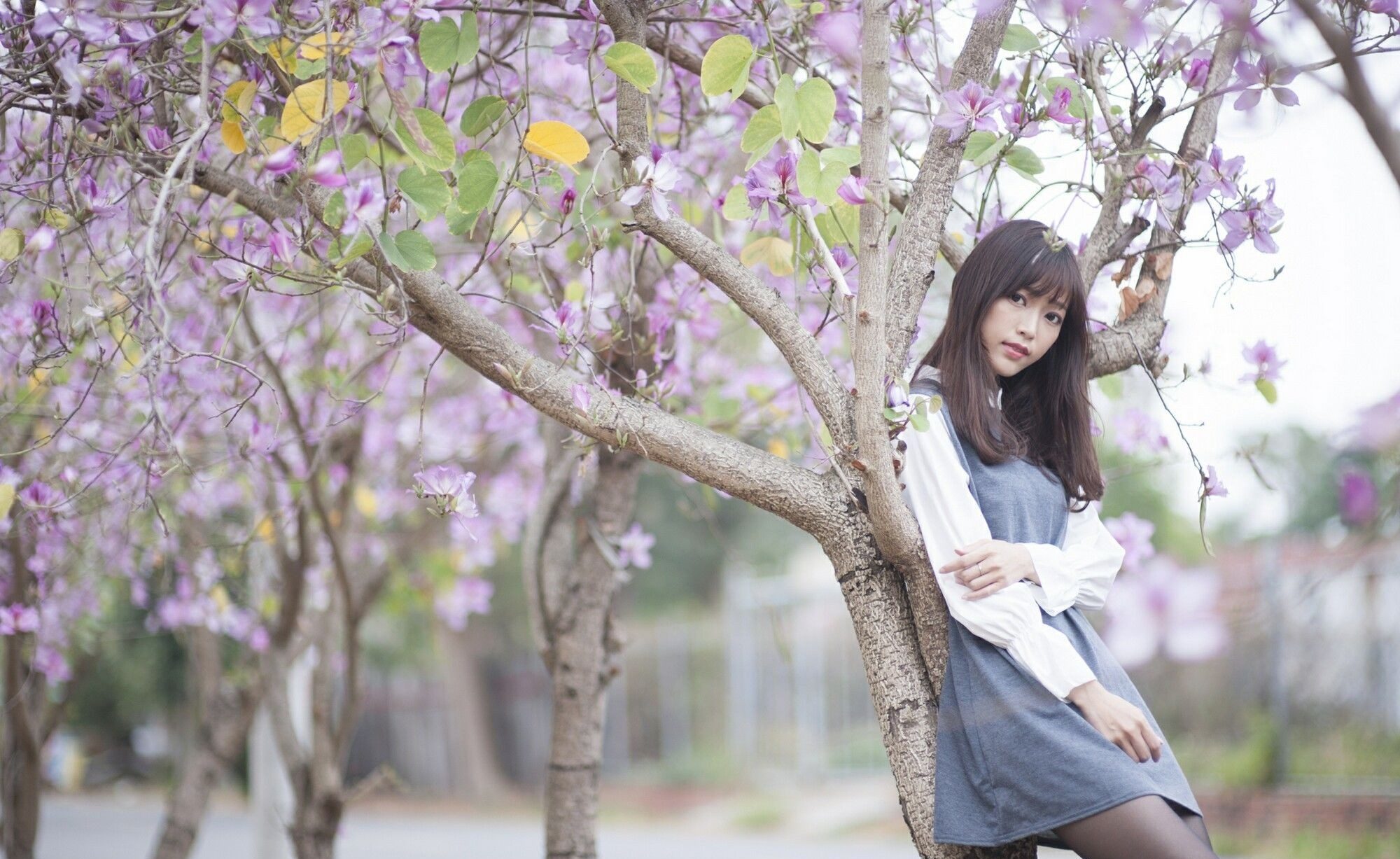 正妹之家:[台湾正妹]美腿唯美黑丝正妹:彭丽嘉(Lady憶憶)超高清写真插图2