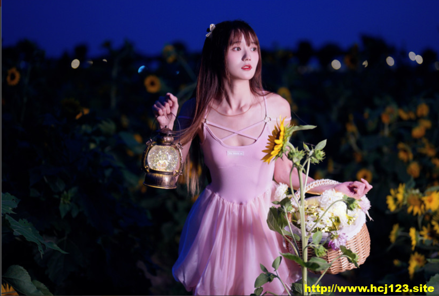 兔子Zzz不吃胡萝卜 蓝调向日葵少女